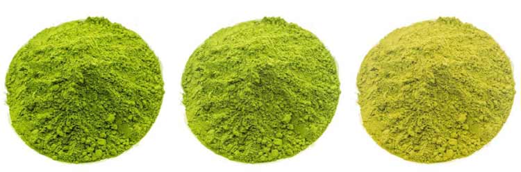 AZmatcha color