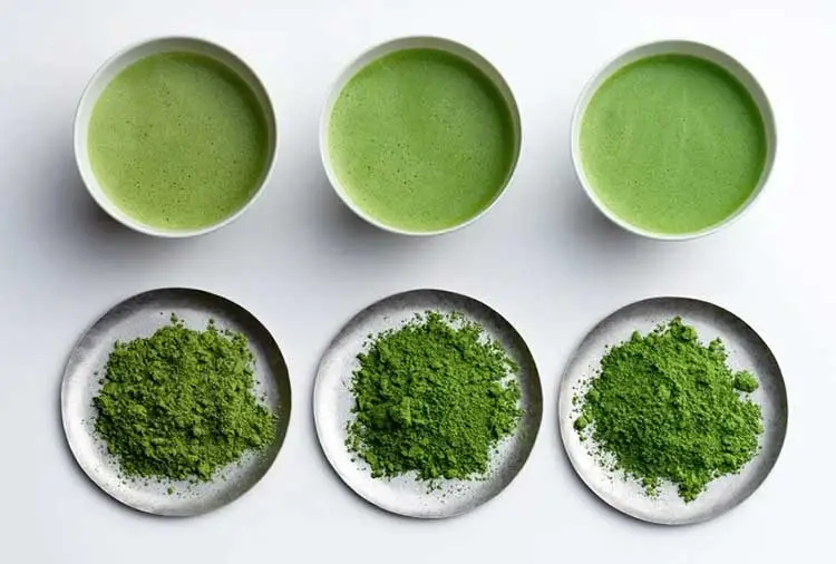 Comparison of different grades of matcha